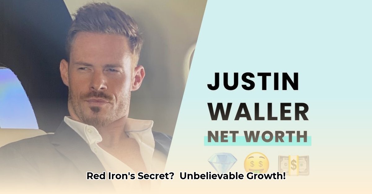 red-iron-construction-net-worth